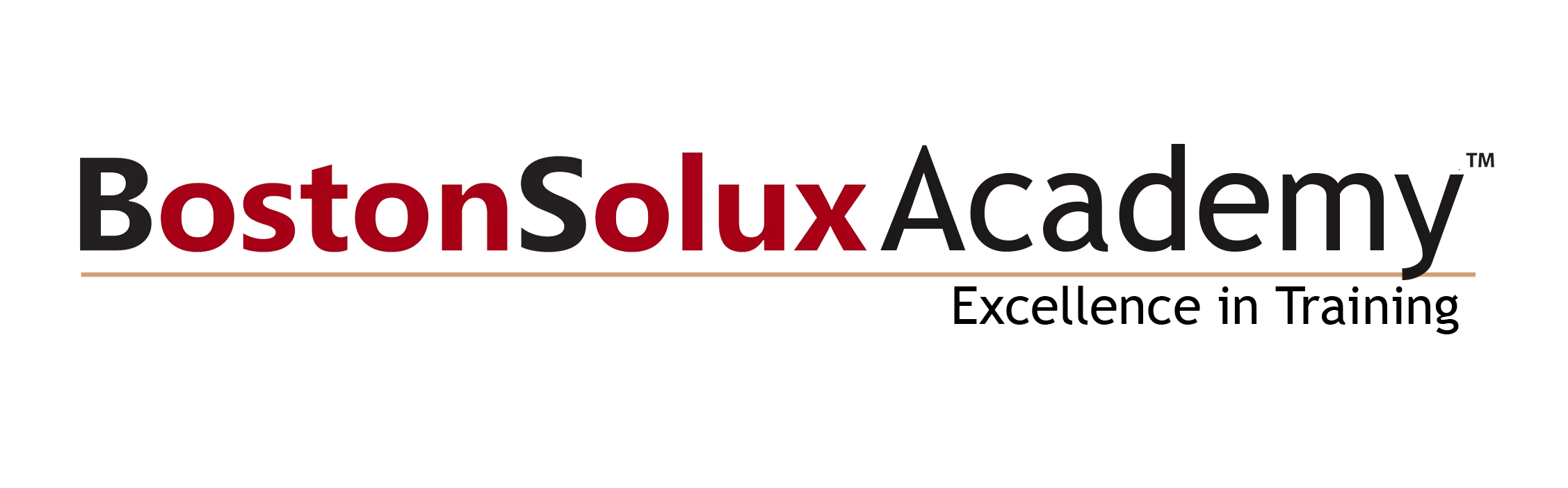 BS_Academy_Logo_HD